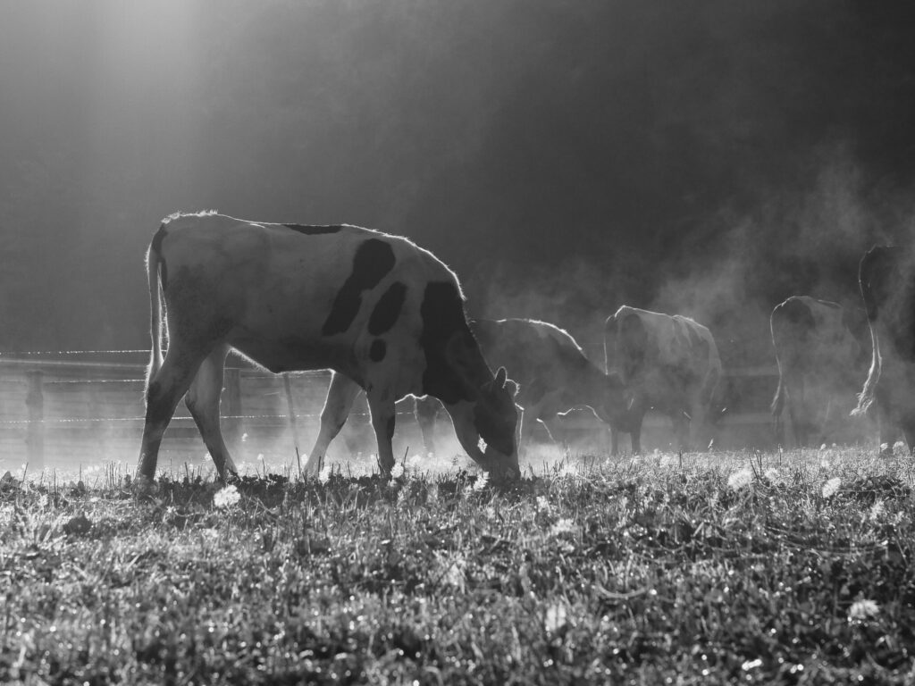 風景の体温 —— Funakata Photo Essays