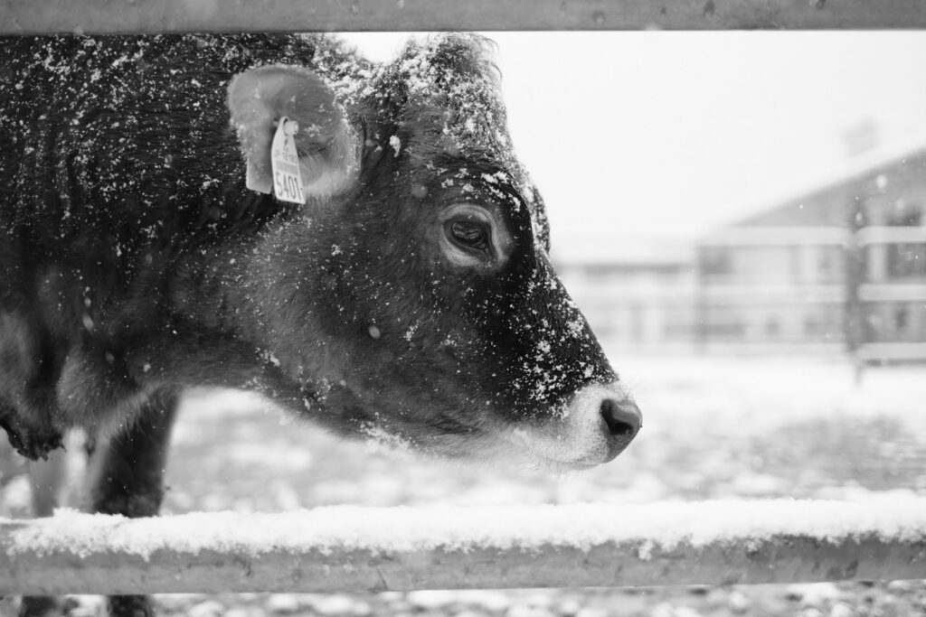 風景の体温—— Photo Essays#02