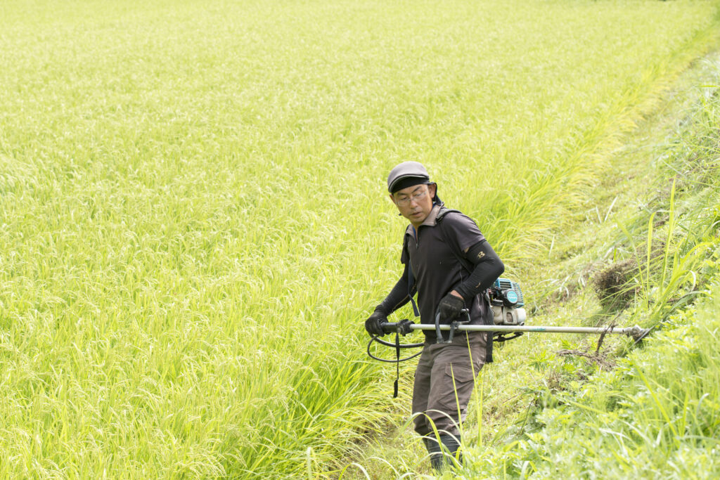 田んぼをつくるのは、人と水 ― 水稲部・桑原さんの一年記