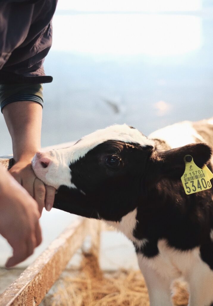 ミルクは40℃前後、空気は新鮮に。