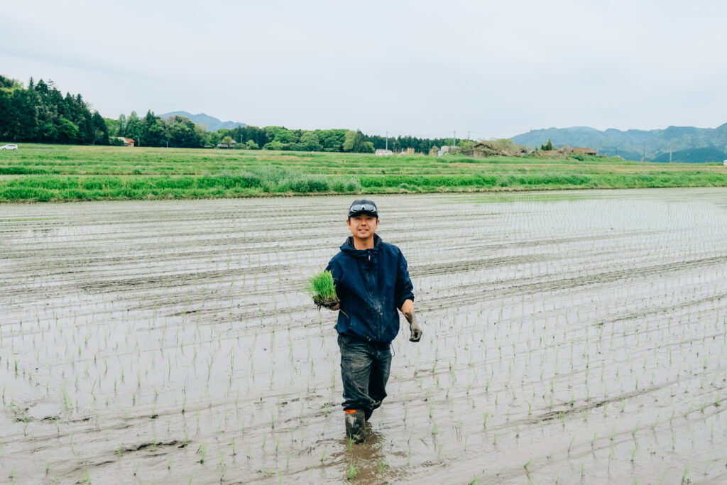 田植えとはどんな作業？酪農スタッフが体験した春の農作業【船方農場】