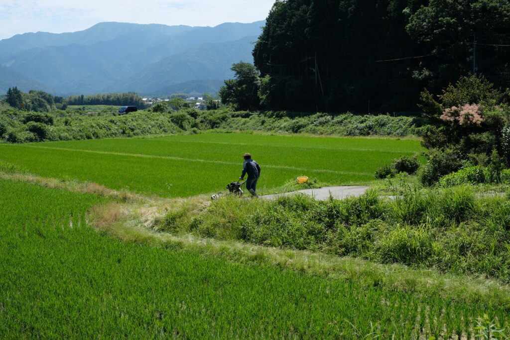 田んぼの夏支度。船方農場の溝切り・中干し・畦草刈り