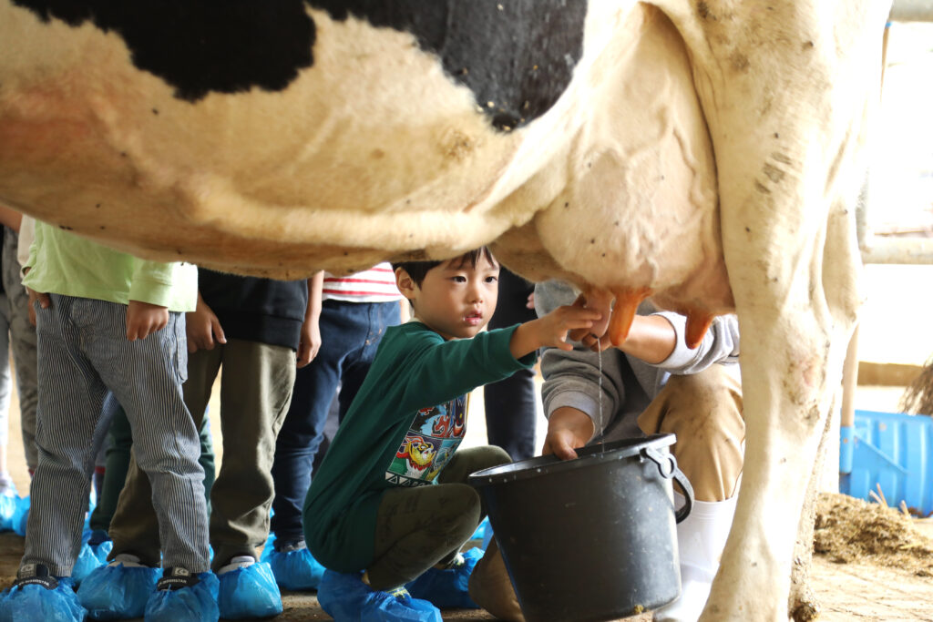 いつも飲んでいる牛乳は、どこから来るのだろう。
